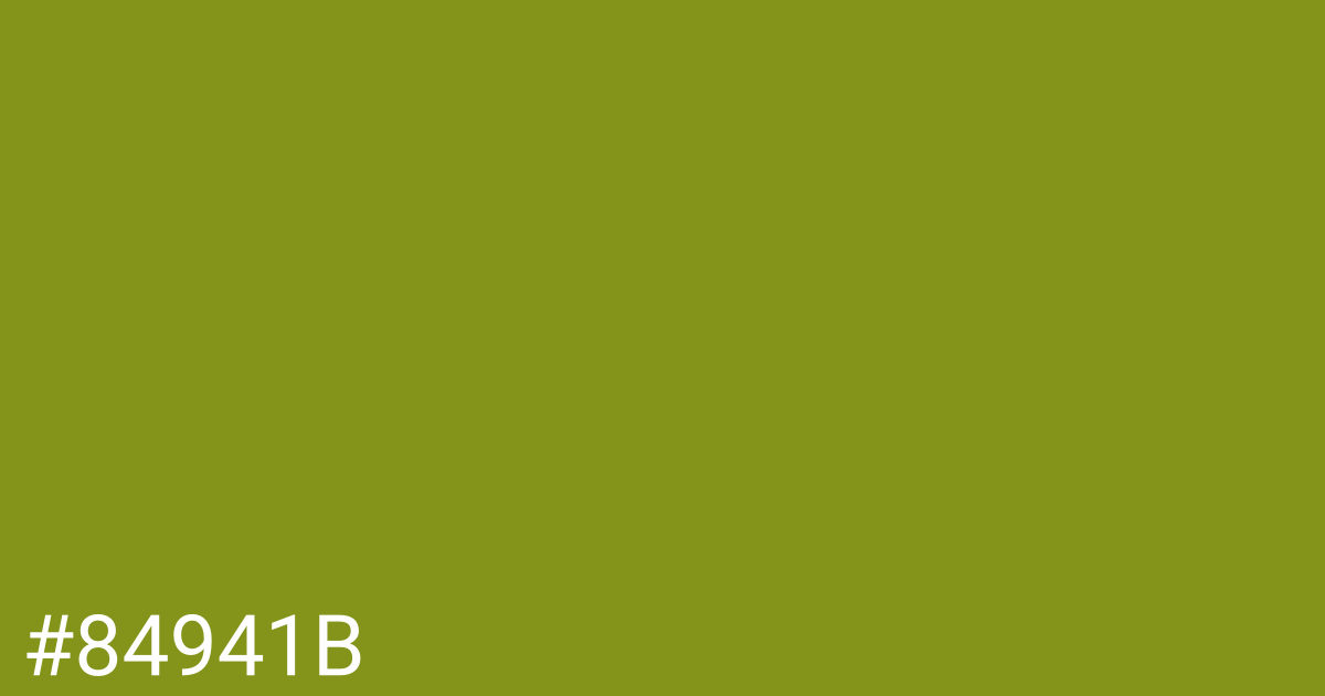 Hex color #84941b graphic