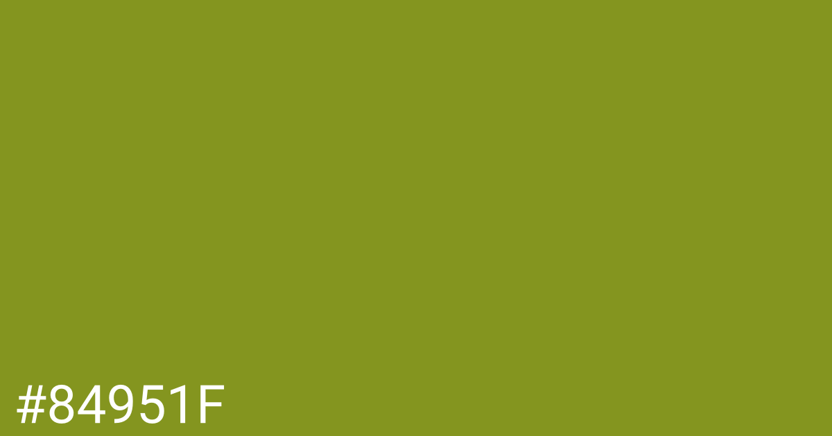 Hex color #84951f graphic