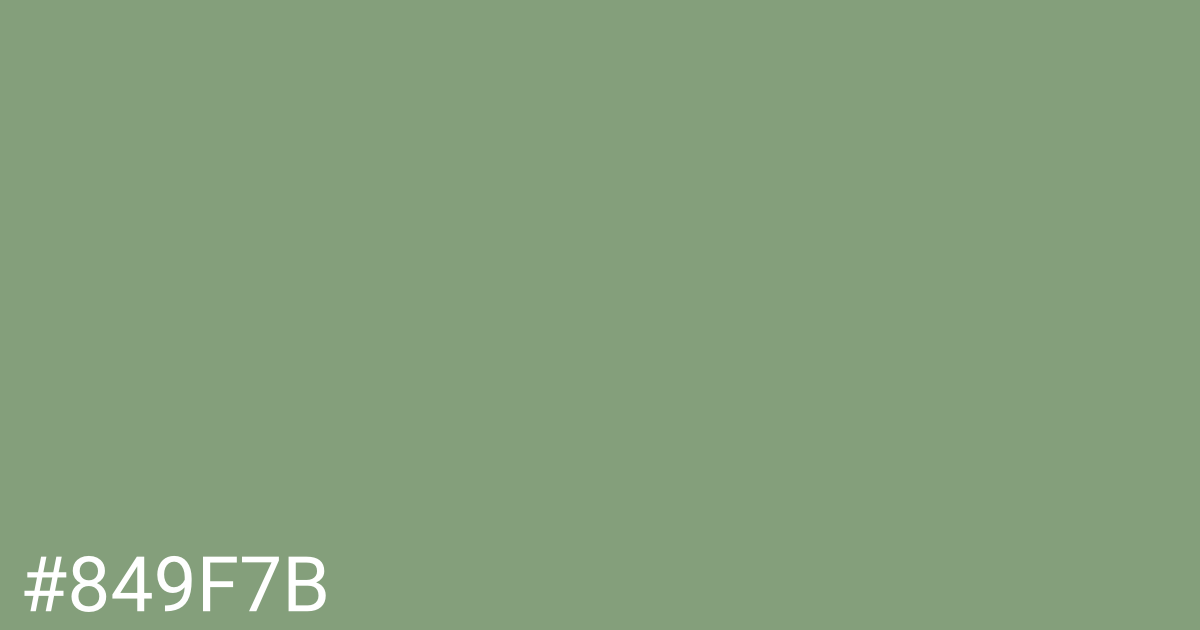 Hex color #849f7b graphic