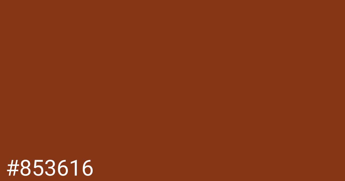 Hex color #853616 graphic