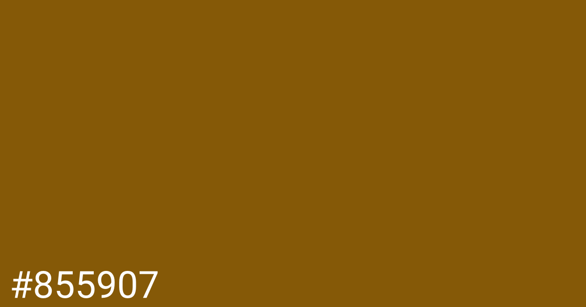 Hex color #855907 graphic