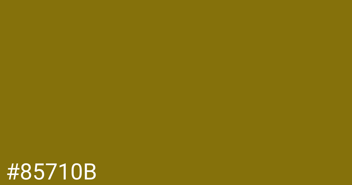 Hex color #85710b graphic