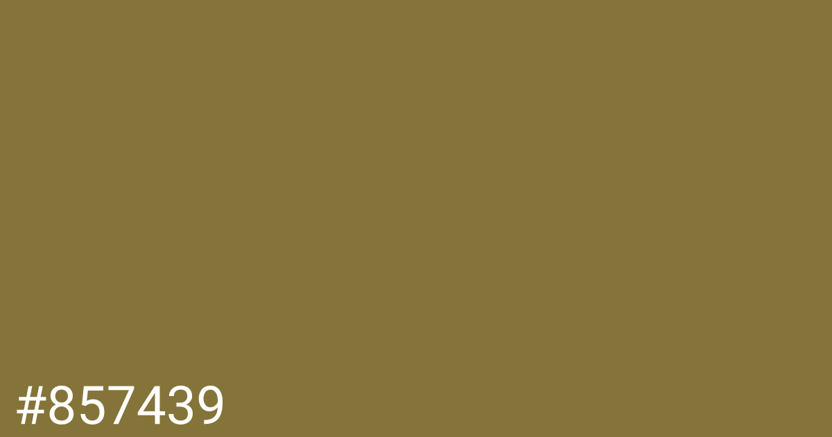 Hex color #857439 graphic