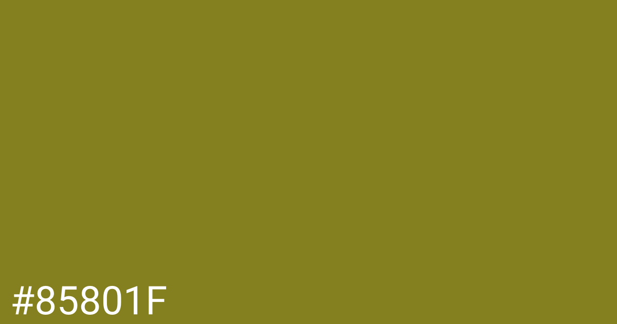 Hex color #85801f graphic