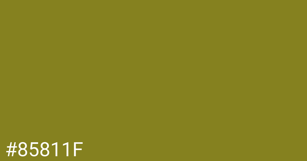 Hex color #85811f graphic