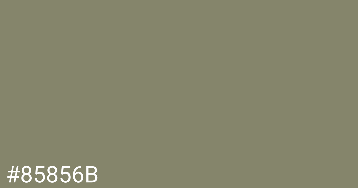 Hex color #85856b graphic