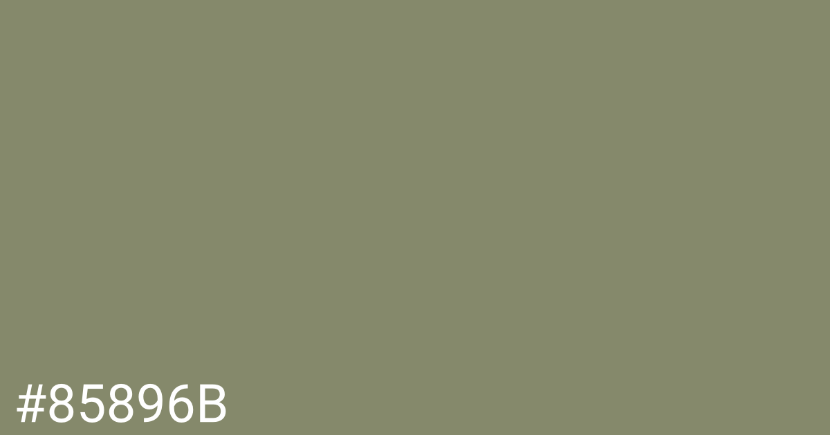 Hex color #85896b graphic