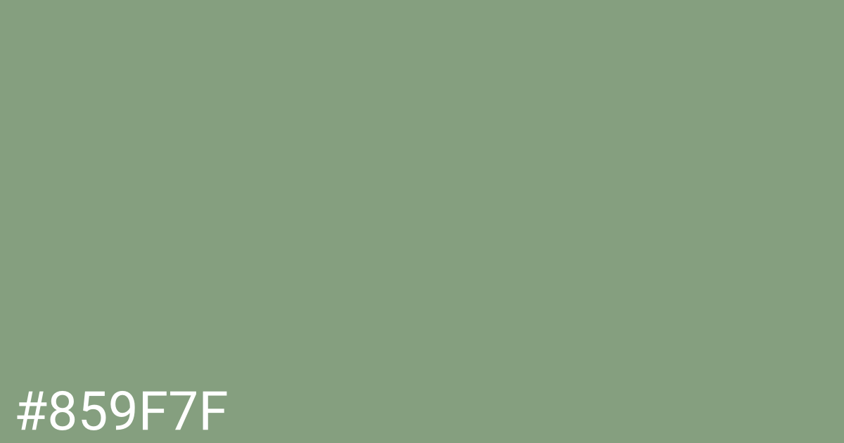 Hex color #859f7f graphic