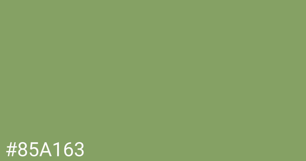 Hex color #85a163 graphic