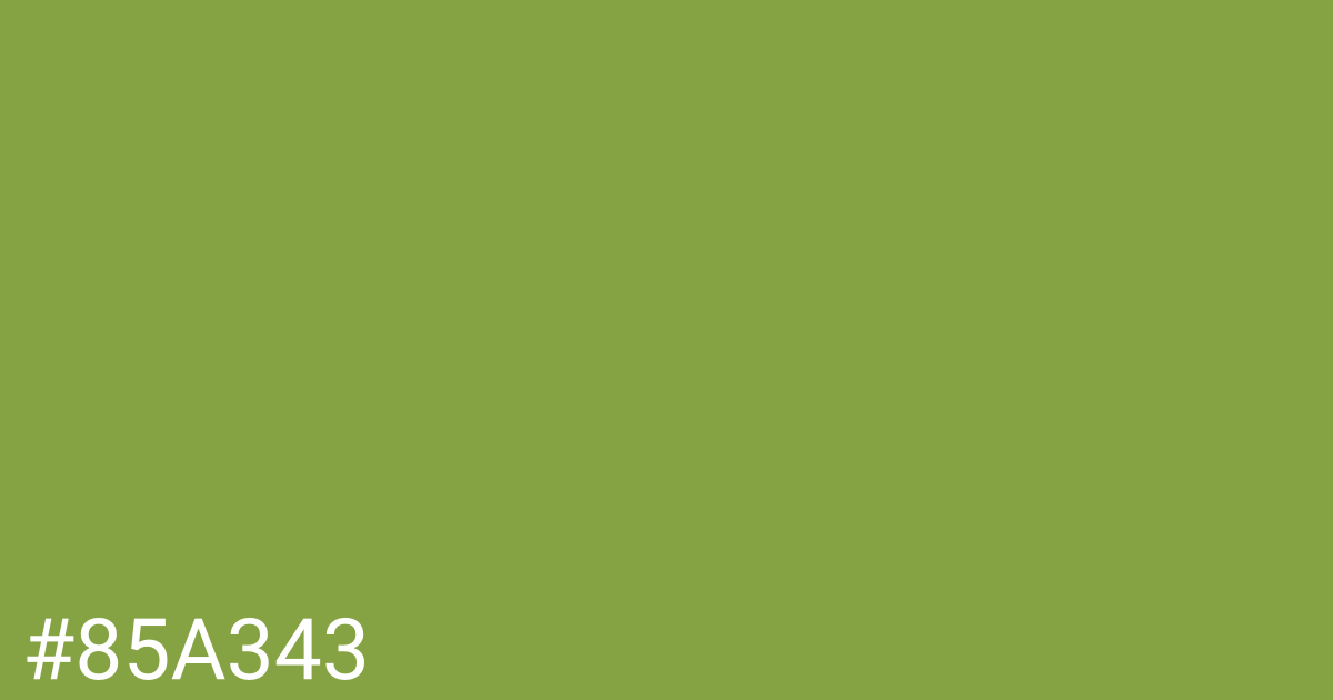 Hex color #85a343 graphic