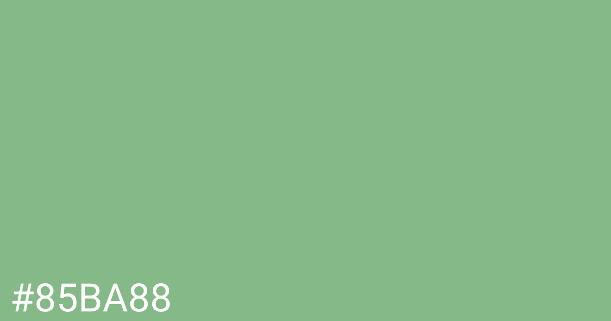 Hex color #85ba88 graphic