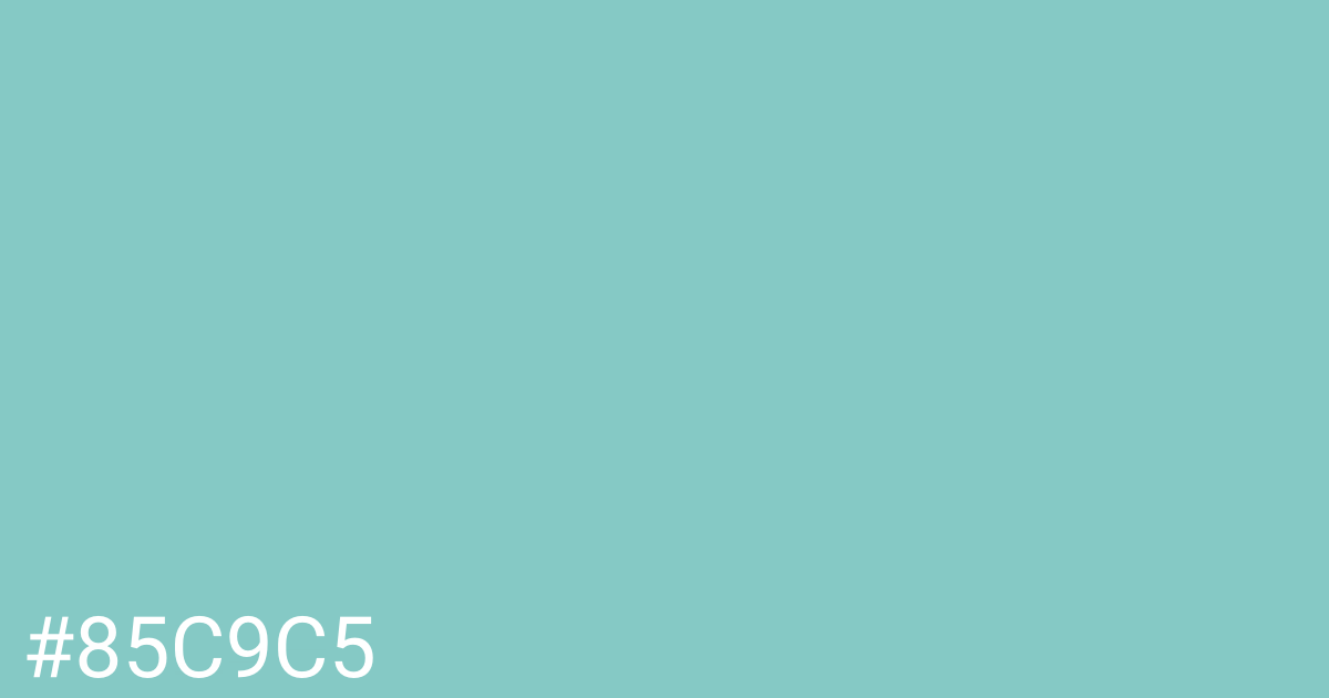 Hex color #85c9c5 graphic