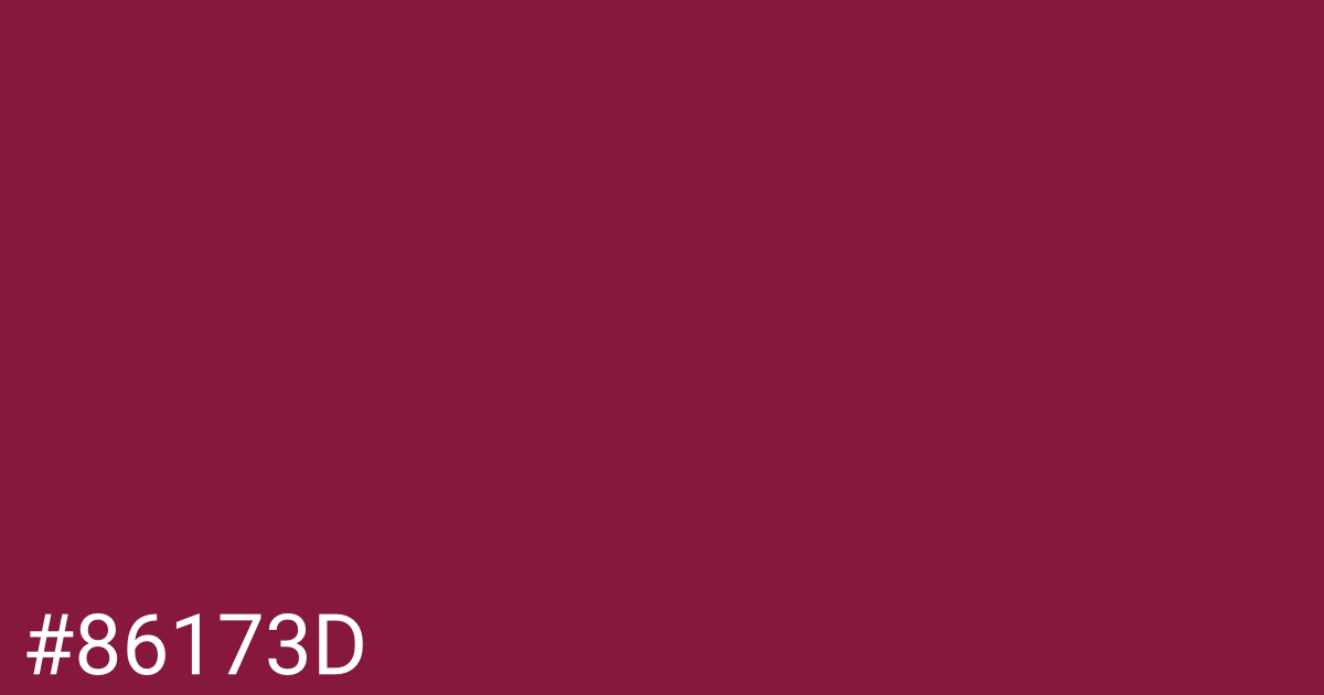 Hex color #86173d graphic