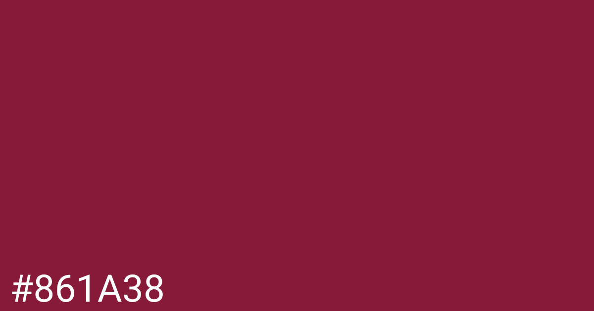 Hex color #861a38 graphic