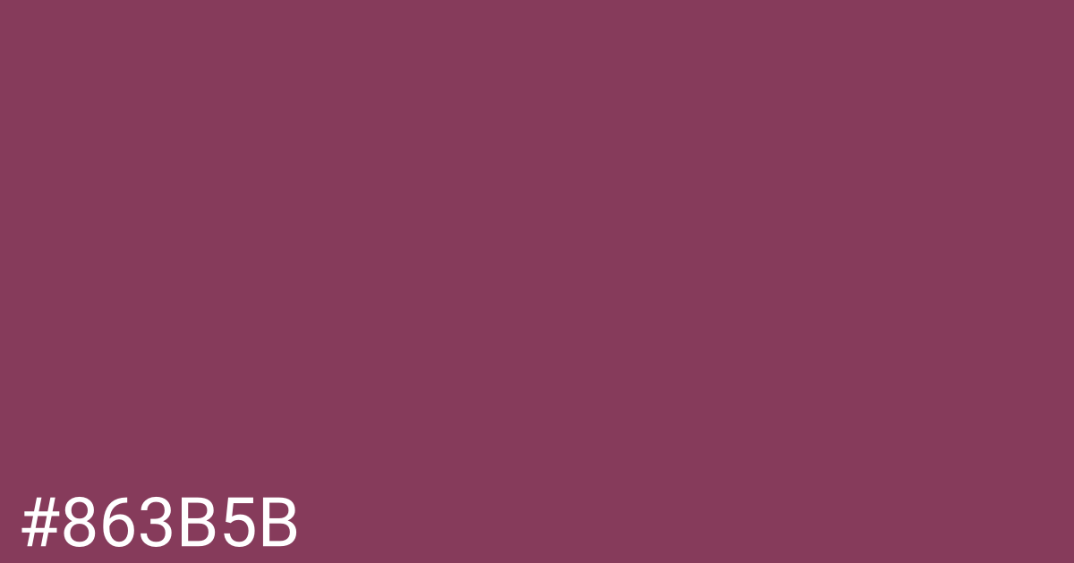 Hex color #863b5b graphic