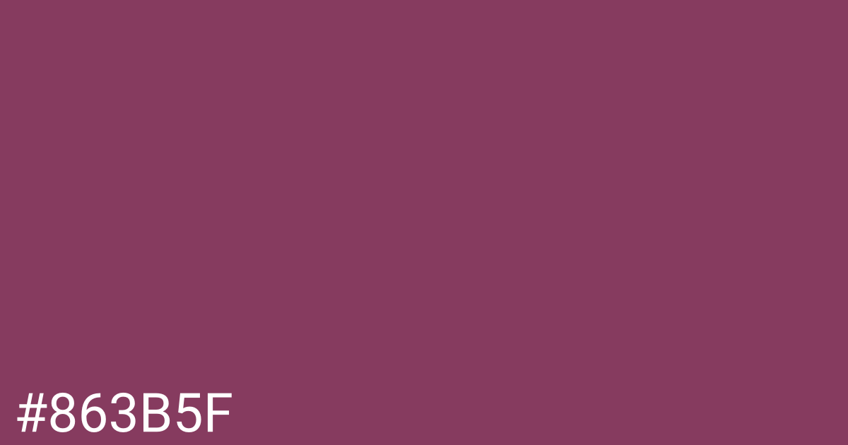 Hex color #863b5f graphic