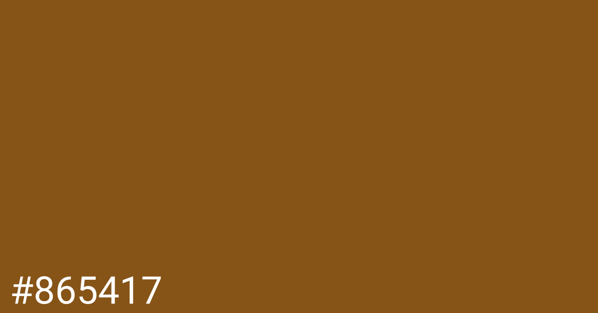Hex color #865417 graphic