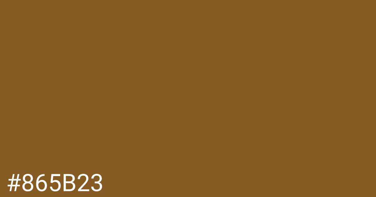 Hex color #865b23 graphic