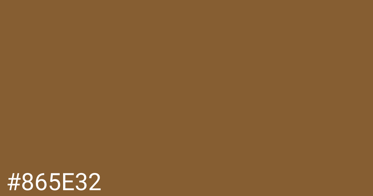 Hex color #865e32 graphic
