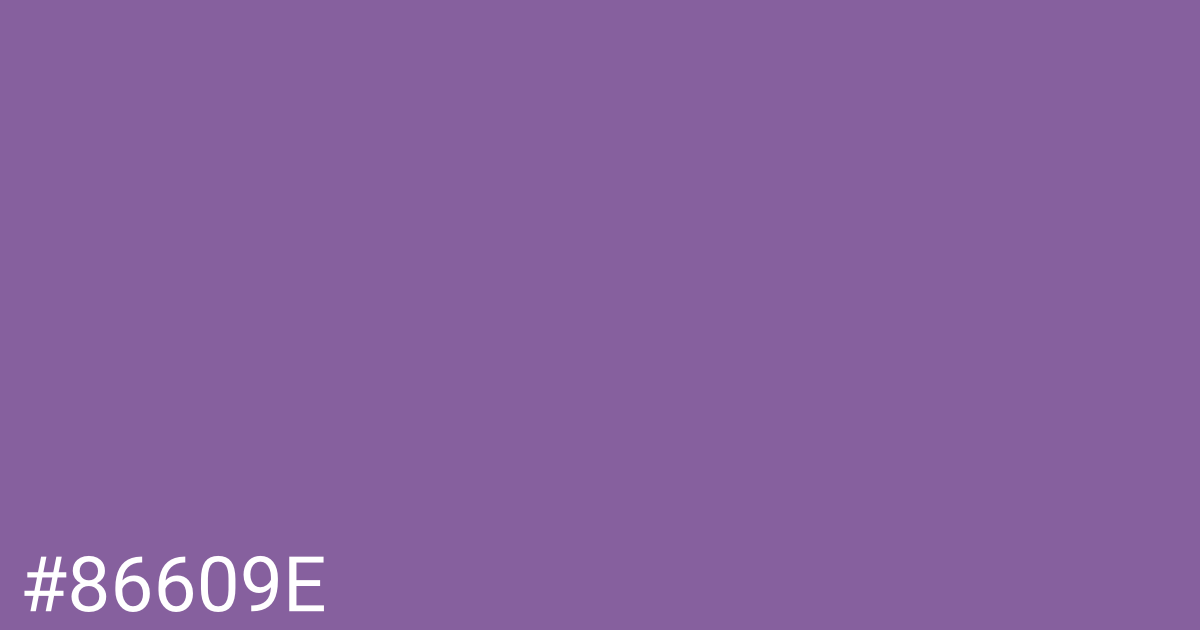 Hex color #86609e graphic