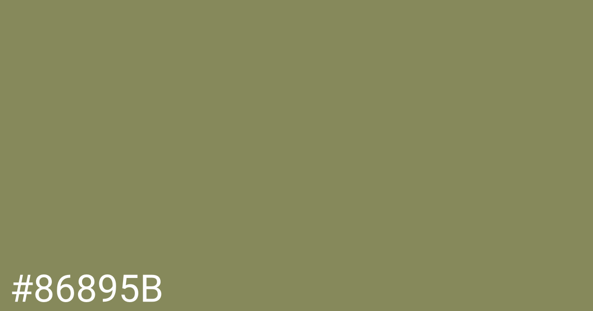 Hex color #86895b graphic