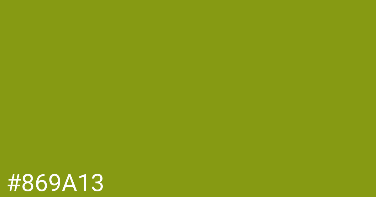 Hex color #869a13 graphic