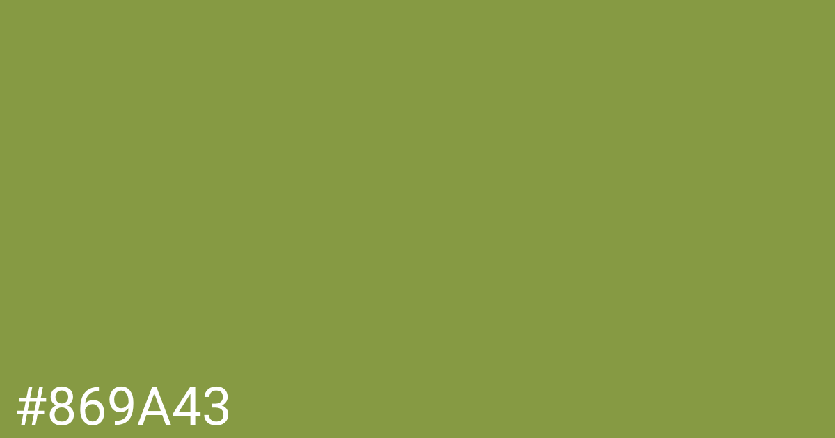 Hex color #869a43 graphic