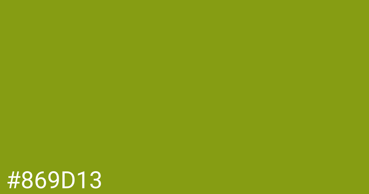 Hex color #869d13 graphic