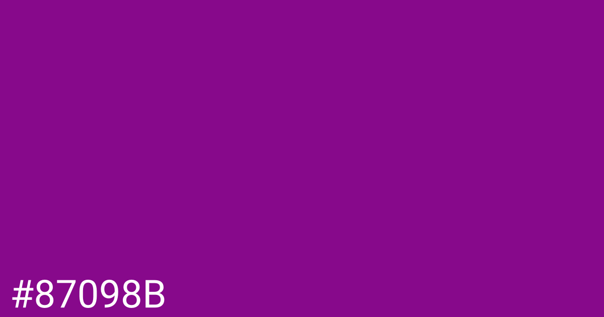 Hex color #87098b graphic