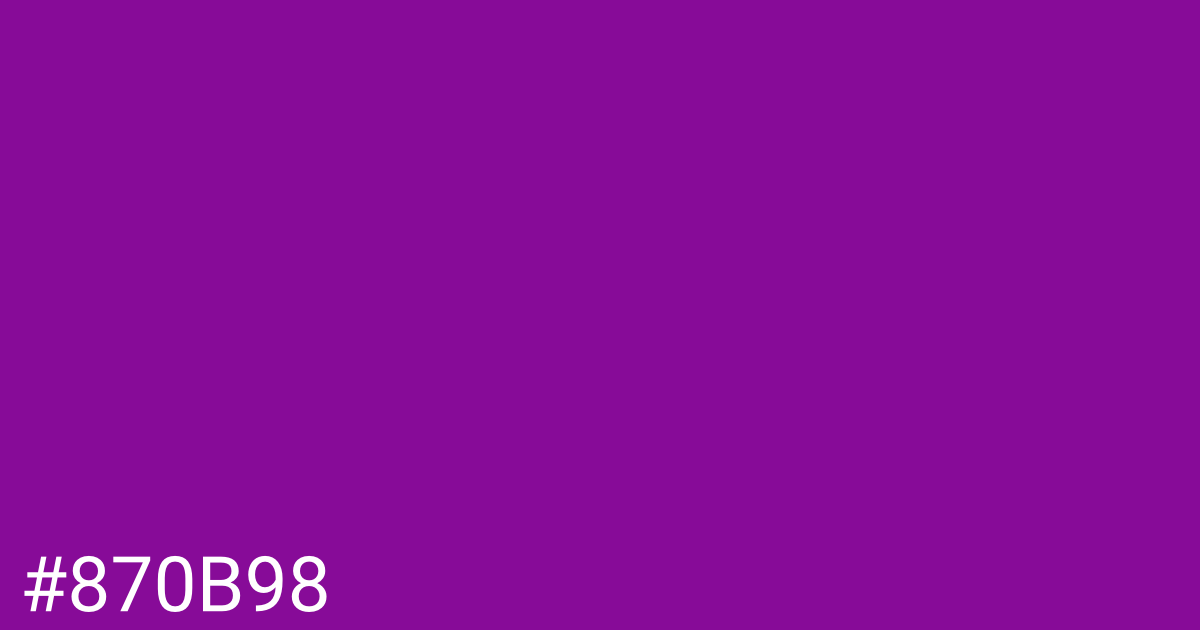 Hex color #870b98 graphic