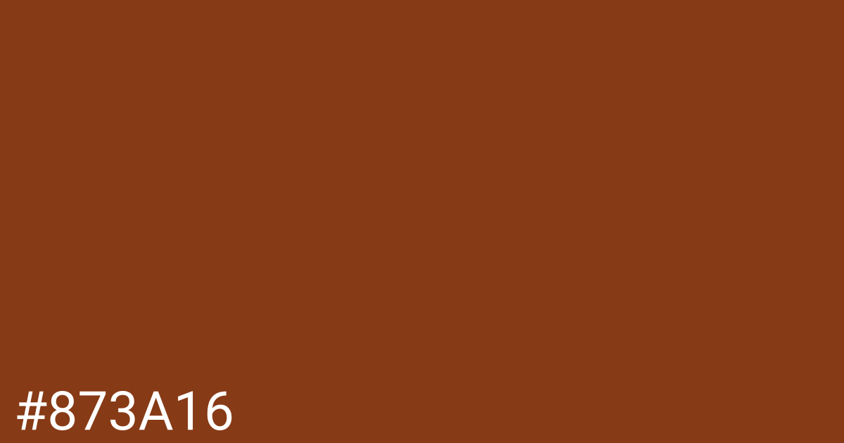 Hex color #873a16 graphic