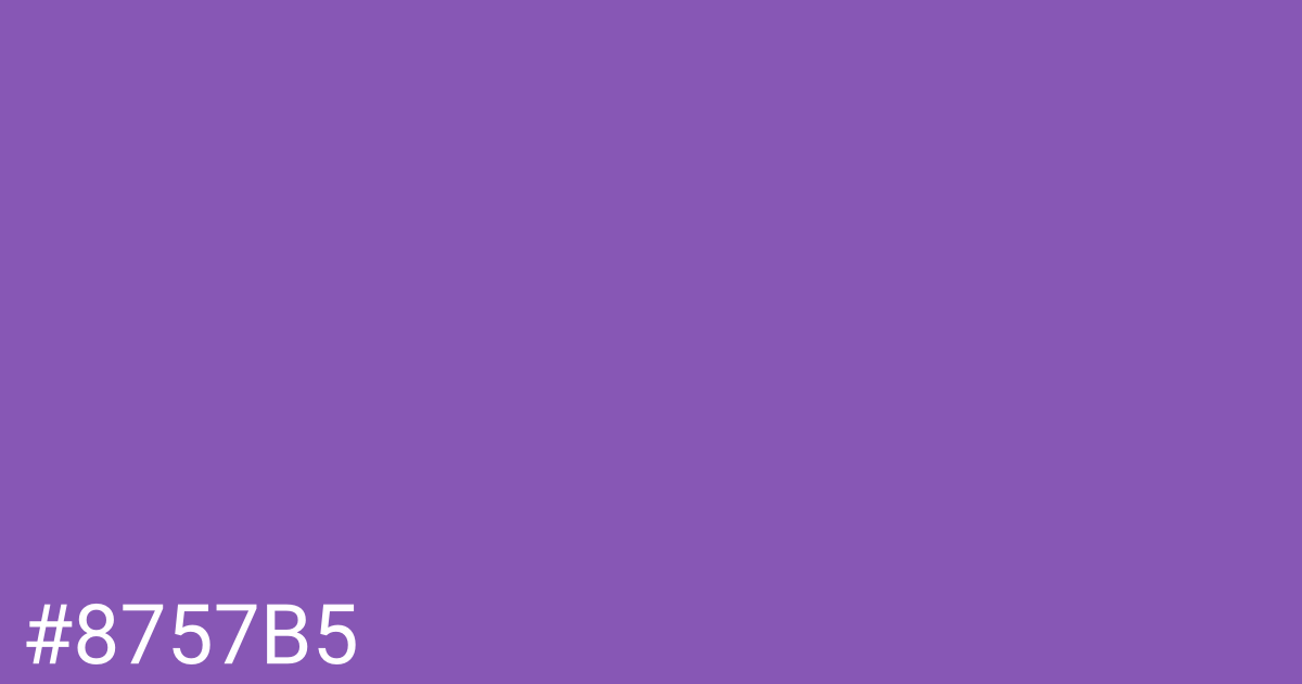 Hex color #8757b5 graphic