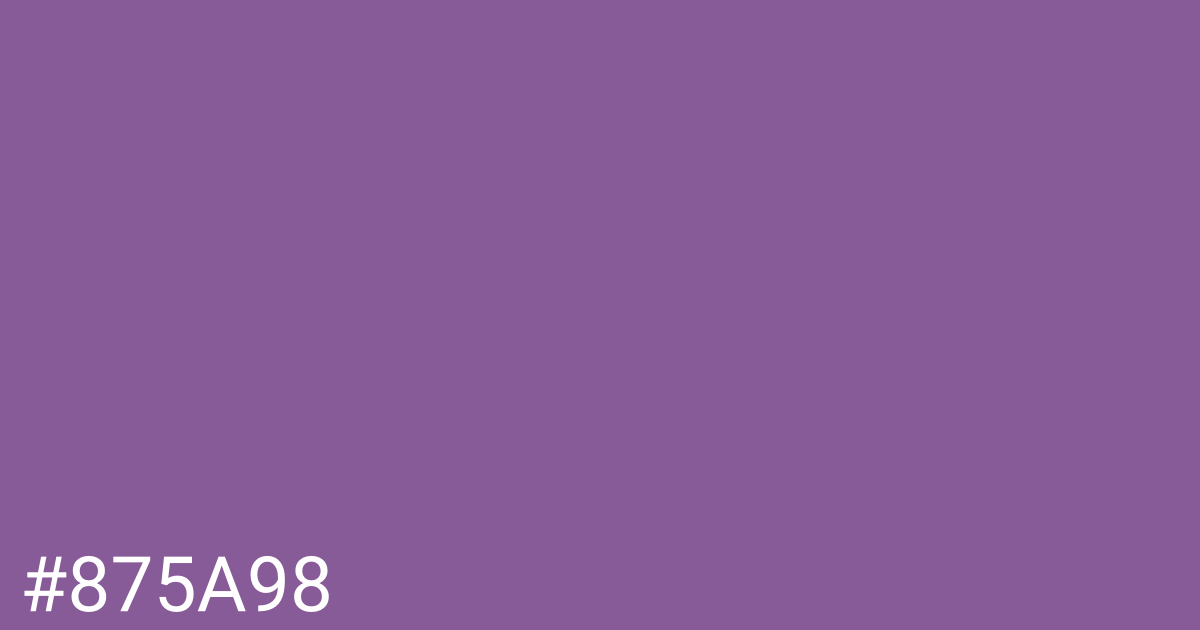 Hex color #875a98 graphic