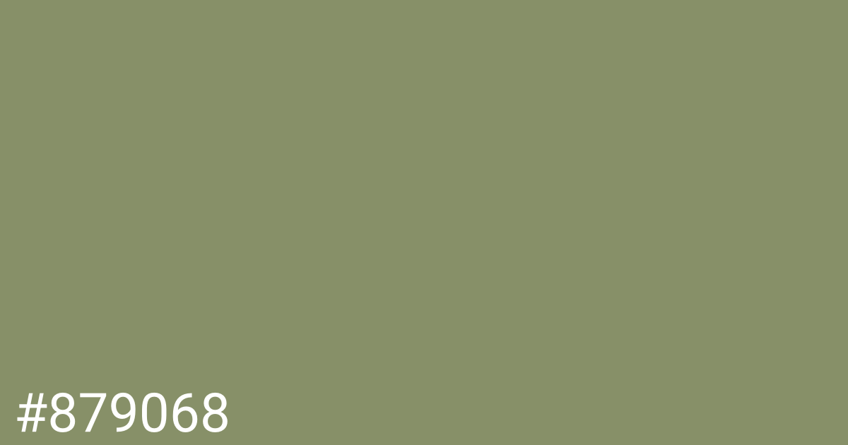 Hex color #879068 graphic