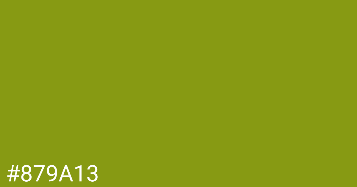 Hex color #879a13 graphic