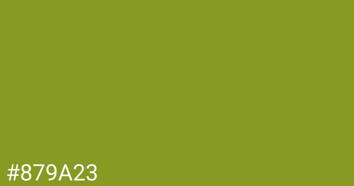 Hex color #879a23 graphic
