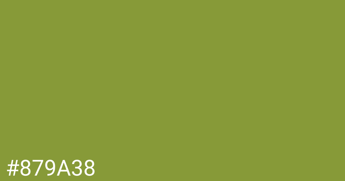 Hex color #879a38 graphic