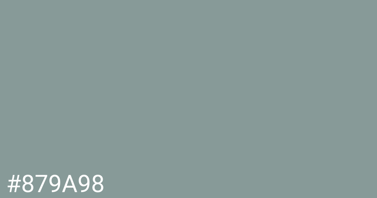 Hex color #879a98 graphic