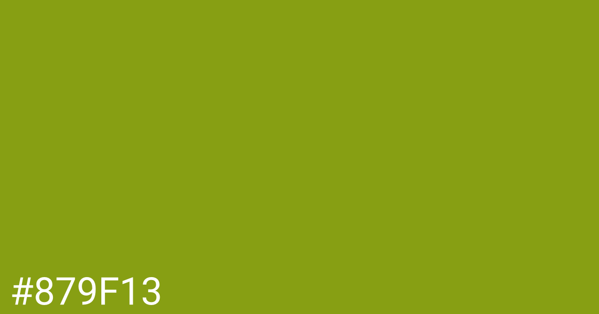 Hex color #879f13 graphic
