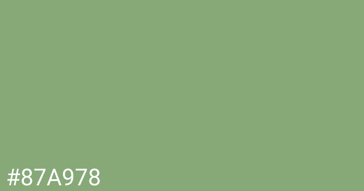 Hex color #87a978 graphic