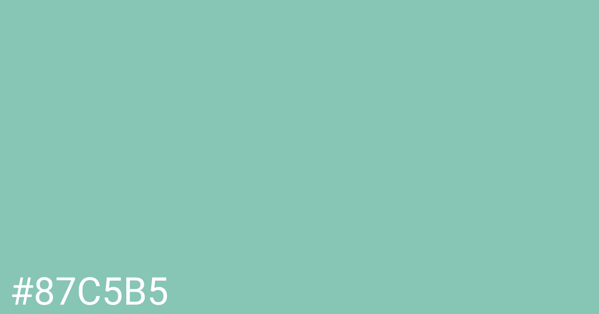 Hex color #87c5b5 graphic