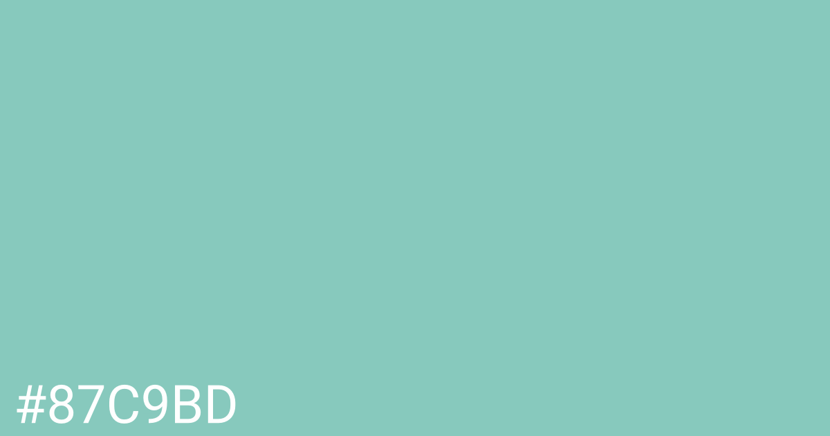 Hex color #87c9bd graphic