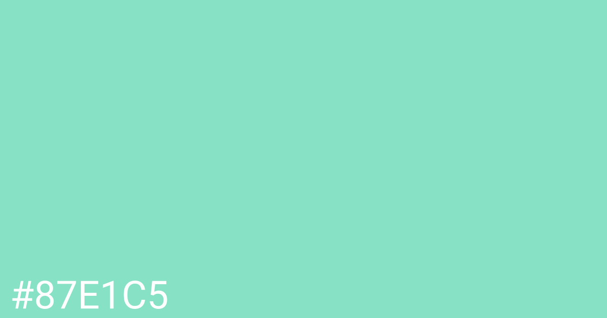 Hex color #87e1c5 graphic