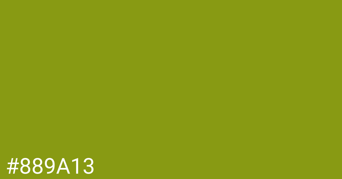 Hex color #889a13 graphic