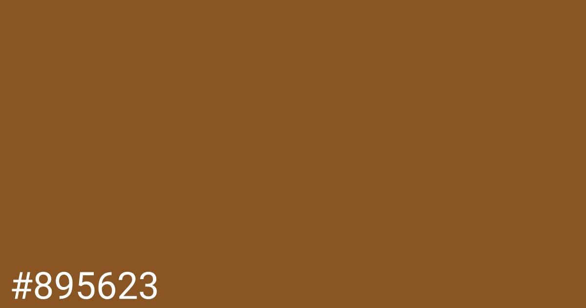 Hex color #895623 graphic