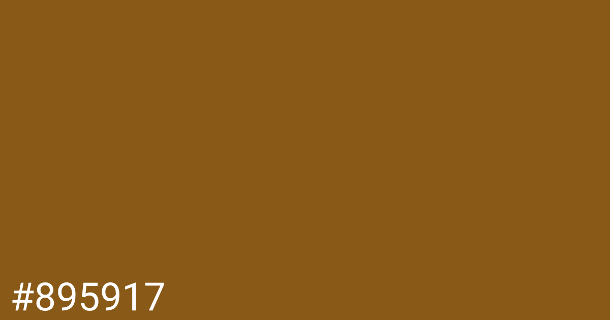 Hex color #895917 graphic