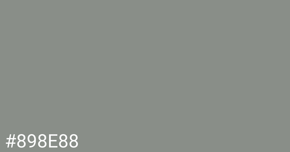 Hex color #898e88 graphic