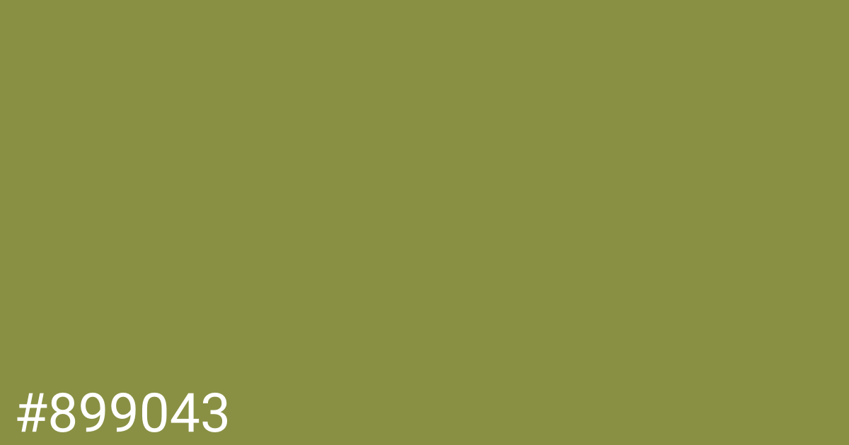 Hex color #899043 graphic