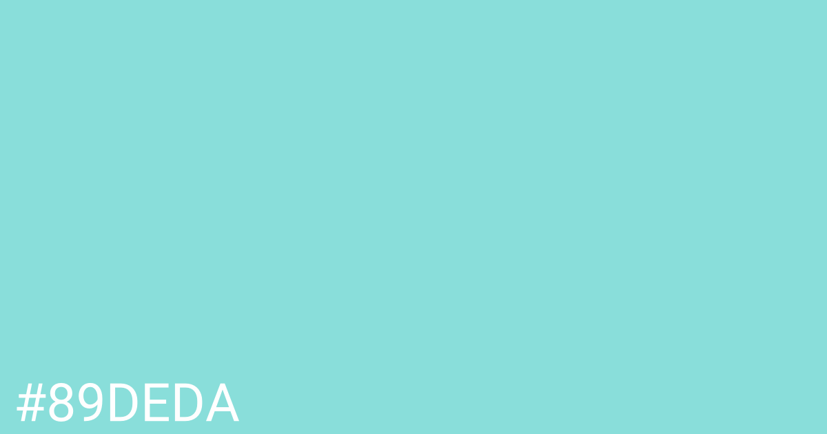 Hex color #89deda graphic