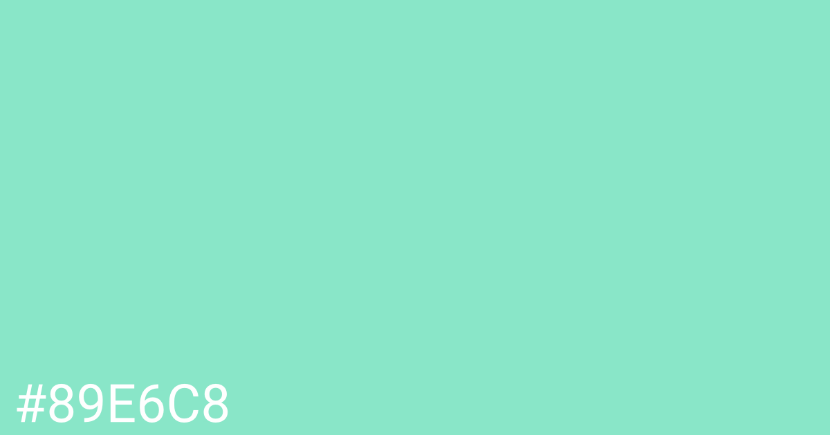 Hex color #89e6c8 graphic